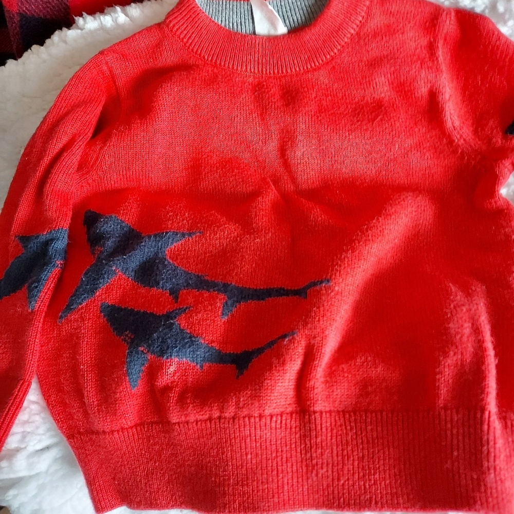 EUC gap shark sweater